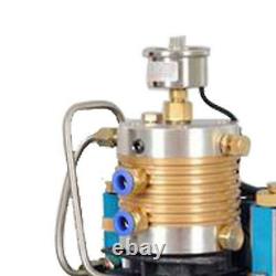 220V Air Compressor Pump PCP Electric 4500PSI High Pressure 30MPa 2021