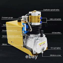 Electric High Pressure Preset 4500PSI Auto Stop 30MPa Air Compressor PCP Pump
