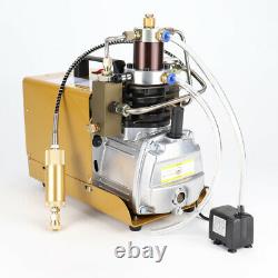 Portable Electric PCP Air Compressor 30MPA 4500PSI Airgun High Pressure Pump 220